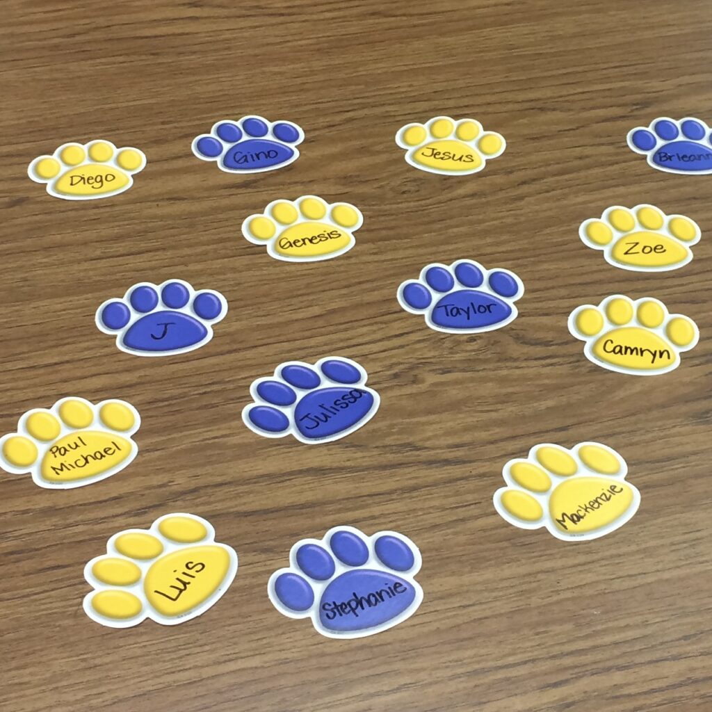 Blue and yellow paw prints on a table for meet the teacher night.